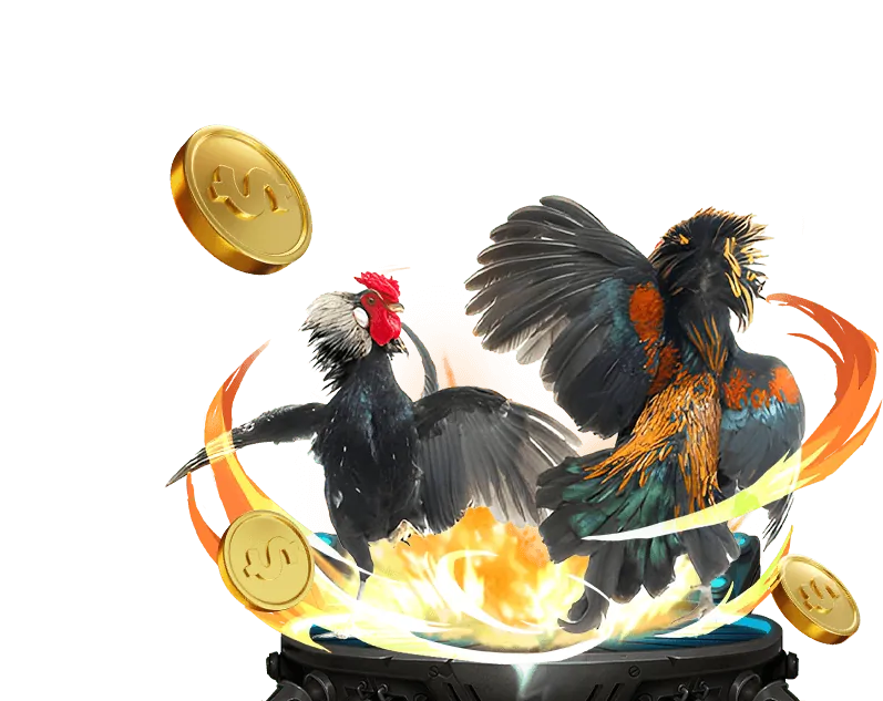 Cá cược thể thao ok9